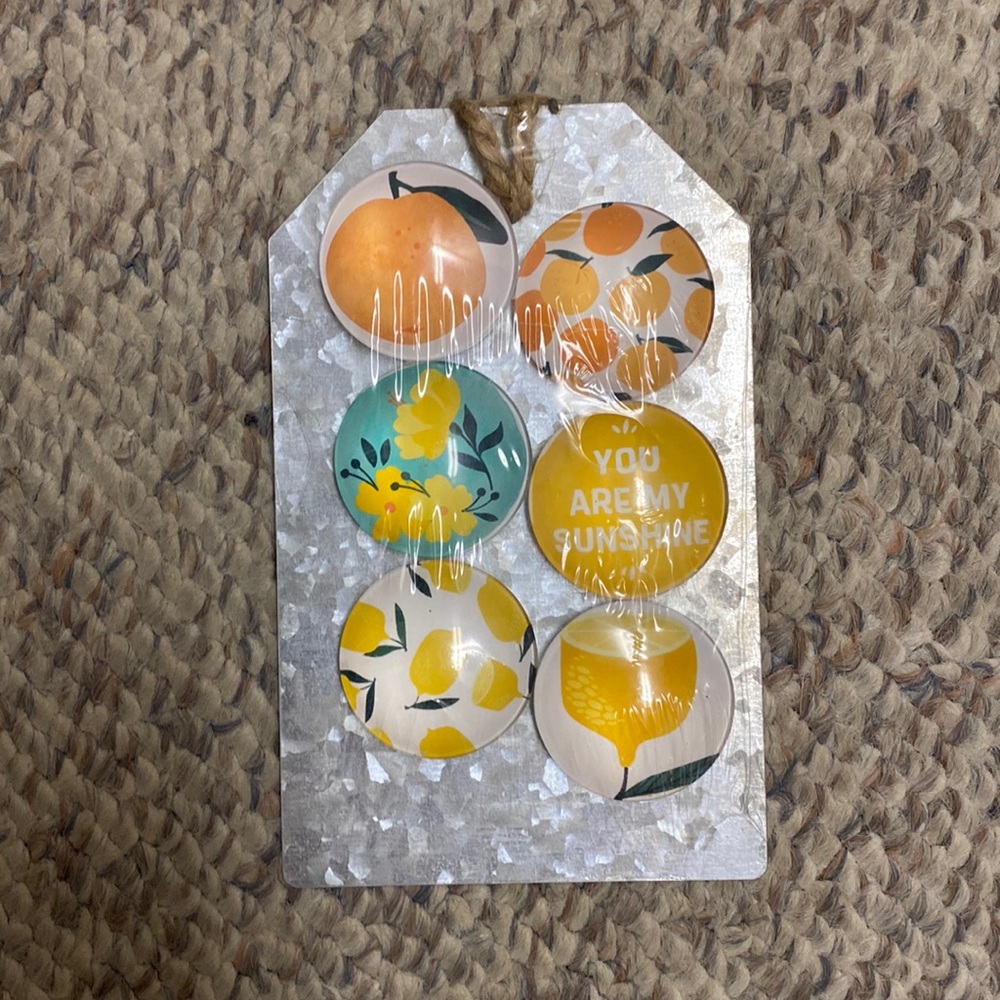 CBK Citrus Magnet Set of 6